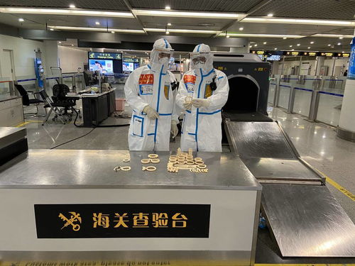 警惕！回蓉旅客攜帶象牙手鐲被成都海關查獲，教學模型制造需守法規